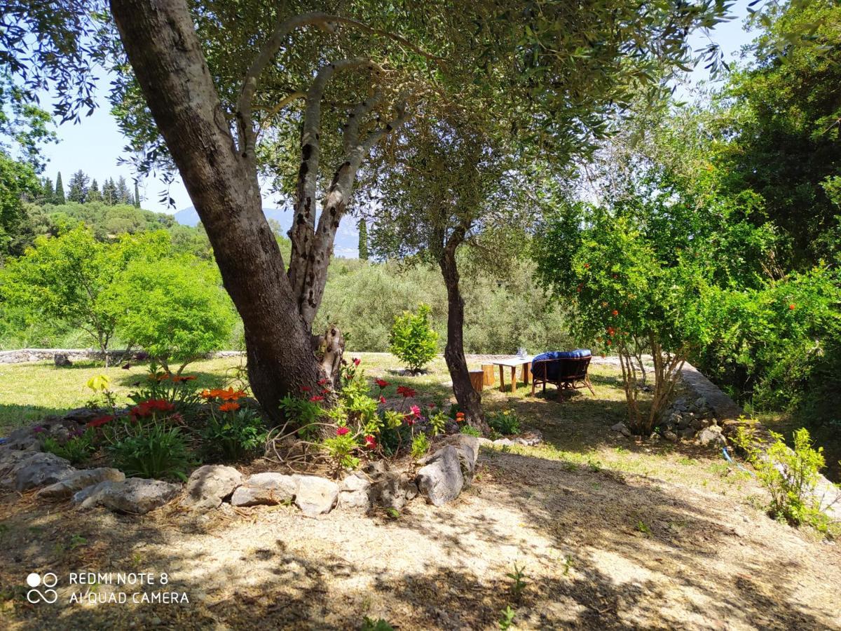 Corfu Villa Galini Potamós 외부 사진