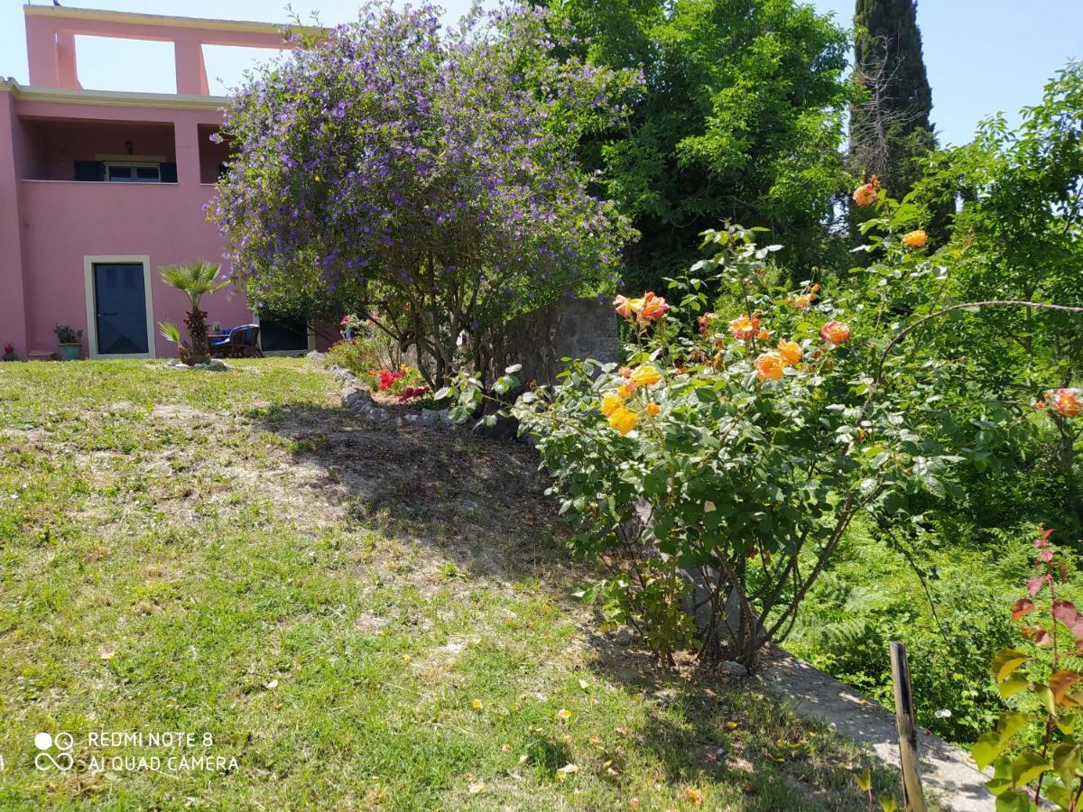 Corfu Villa Galini Potamós 외부 사진